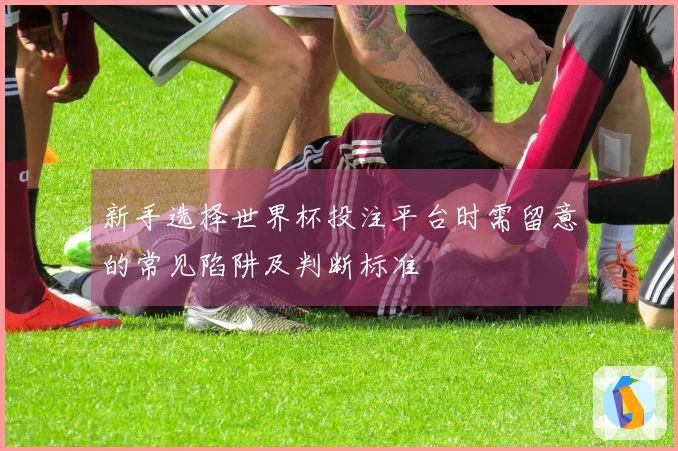 新手选择世界杯投注平台时需留意的常见陷阱及判断标准